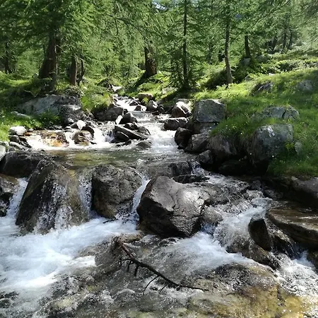 Voglia Di Veglia *